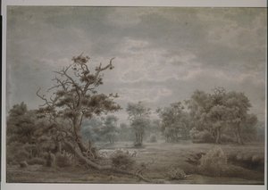 Skogslandskap från Düsseldorf