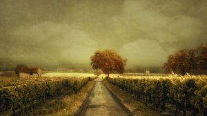 Höstvägen genom vingården av Lars van de Goor †