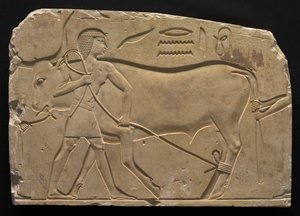 Män som trugar en oxe, 667-647 f.Kr av Late Period Egyptian