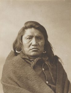 Döv tjur, ca. 1880.