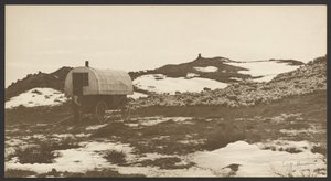 [Drifter, Sheep Wagon och Band on Winter Bedground]