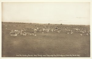 Lammningslägret, 1894.