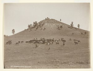 Jobbar ett litet gäng i bergen, ca. 1900.