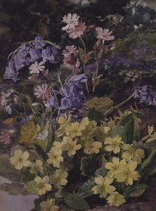 Studier av blommor av Laura Darcy Strutt