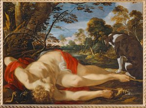 Adonis mort - Adonis död. Vers 1624-1628 ...