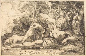 Narcissus vid våren av Laurent de la Hyre