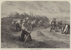 Hömakare av Lawrence Duncan