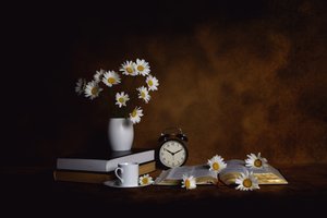 Daisies Books Morgonens frid av Leah Xu