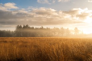 Fallen Light, 2023 (foto) av Lee Cooper