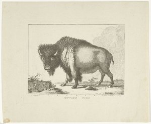 Bison av Leendert Brasser