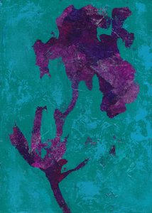 Abstrakt lila iris