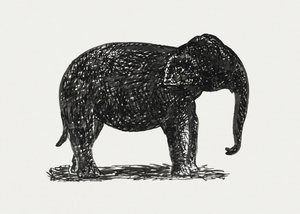 Elephant (ca 1891–1941)