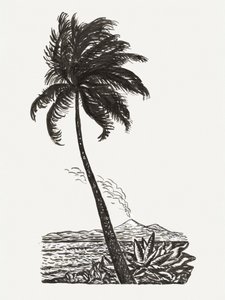 Palmträd med en ö (ca 1891–1941)
