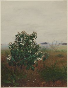 Blommande lagerolvon framför ett landskap av Léon Bonvin