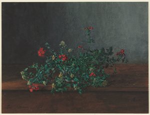 Stilleben med vilda blommor