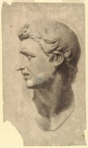 Teckning, Studie av ett klassiskt manshuvud (från en gipsavgjutning), 1881-92 av Leon Dabo