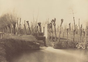 Landskap, Montebello,ca. 1860 (foto) av Léon Gérard