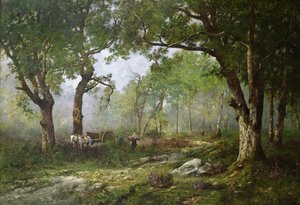 Skogen Fontainebleau