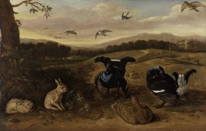 Svart vilt, kaniner och svalor i en park, ca 1700 (olja på duk) av Leonard Knyff