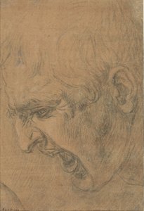 Huvudet på en skrikande man av Leonardo da Vinci (follower of)
