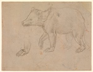 En björn som går av Leonardo da Vinci