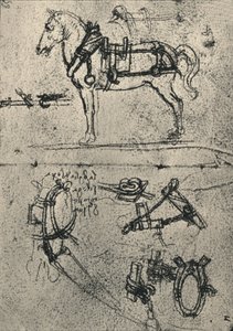 A Harnessed Cart-Horse and Studies of Sele, c1480 1945 av Leonardo da Vinci