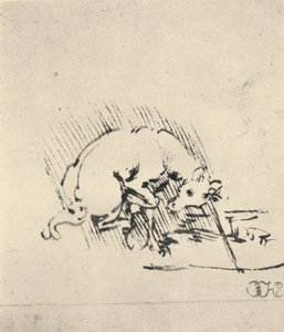 En enhörning som doppar sitt horn i vattnet, c1480 1945 av Leonardo da Vinci