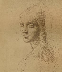 Ett kvinnligt huvud, c1472-c1519 1883, av Leonardo da Vinci