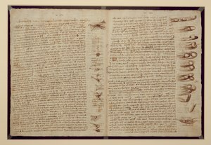 En sida från Codex Leicester, 1508-12 (sepia bläck på linnepapper) av Leonardo da Vinci