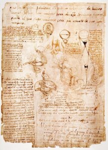 Anatomistudier: organ i buken ... av Leonardo da Vinci