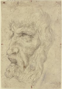 Antika masker till vänster av Leonardo da Vinci
