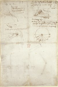 Arundel 263, f.126v Tre anteckningar och skisser på vatten; ett diagram över fåglarnas flygning, c.1500-5 (penna och bläck på papper) av Leonardo da Vinci