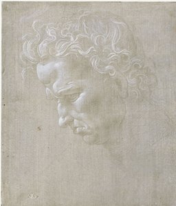 Uttrycksfullt manshuvud i profil av Leonardo da Vinci