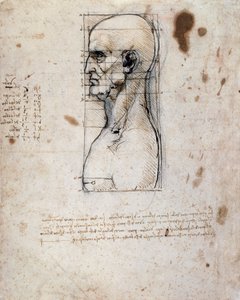 Byst av en man i profil med mått och anteckningar (sepia bläck på linnepapper) av Leonardo da Vinci