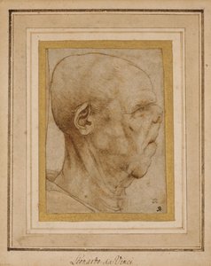 Karikatyr av en gammal mans huvud, i profil till höger, ca 1507 av Leonardo da Vinci