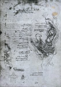 Coition of Hemisected Man and Woman, faksimilkopia av Leonardo da Vinci