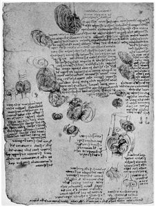 Diagram över blodvirveln i hjärtat, sent 1400-tal eller tidigt 1500-tal 1954 av Leonardo da Vinci