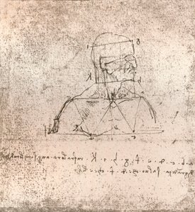 Ritning som illustrerar teorin om proportionerna av den mänskliga figuren, c1472-c1519 1883 av Leonardo da Vinci