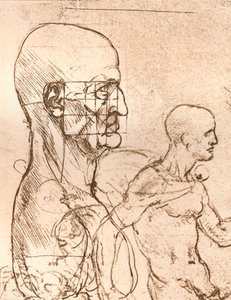 Ritning som illustrerar teorin om proportionerna av den mänskliga figuren, c1472-c1519 1883 av Leonardo da Vinci
