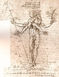 Ritning av en allegorisk komposition, c1472-c1519 1883 av Leonardo da Vinci