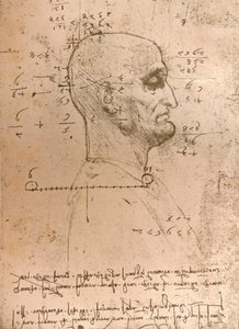 Teckning av huvudet på en brottsling, c1472-c1519 1883 av Leonardo da Vinci