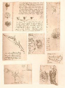 Fem teckningar som illustrerar elementen i landskapsmåleriet, c1472-c1519 1883 av Leonardo da Vinci