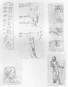 Fem ritningar som illustrerar teorin om proportionerna av den mänskliga figuren, c1472-c1519 1883 av Leonardo da Vinci