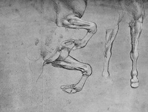 Fyra studier av hästars ben, c1480 1945 av Leonardo da Vinci