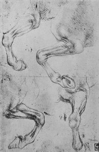 Fyra studier av hästars ben, c1480 1945 av Leonardo da Vinci