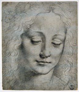 Giovanni Antonio Boltraffio (Beltraffio) (1467 - 1516) (den mest kända eleven till Leonardo da Vinci): huvudet av en pojke krona av löv i vägen för Verrocchio, GDSU 425 E av Leonardo da Vinci