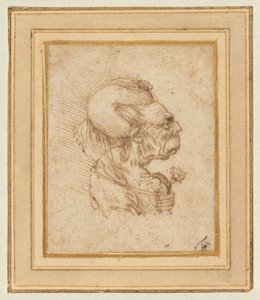 Groteskt huvud av en gammal kvinna av Leonardo da Vinci