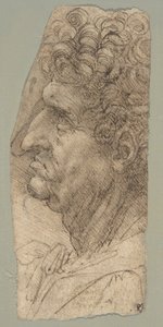 Manshuvud i profil, vänd åt vänster av Leonardo da Vinci