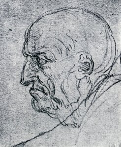 Chef för en gammal man, 1913 av Leonardo da Vinci