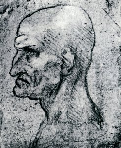 Chef för en gammal man, 1913 av Leonardo da Vinci